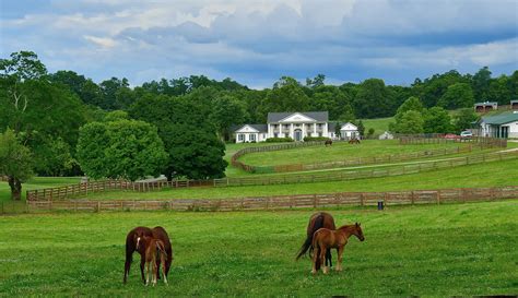 Kentucky horse farm