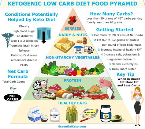 Keto diet basics