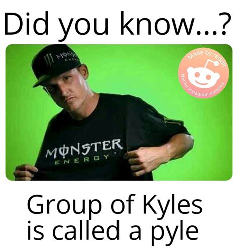 Kyle meme