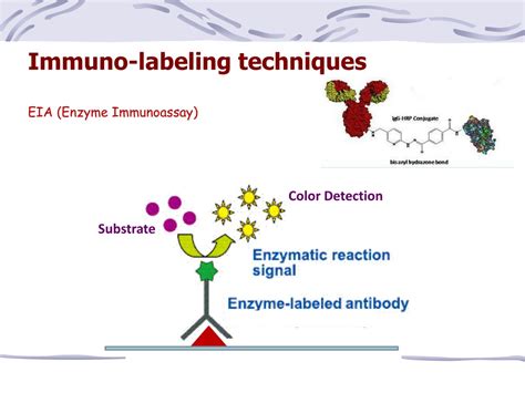 Labeling techniques