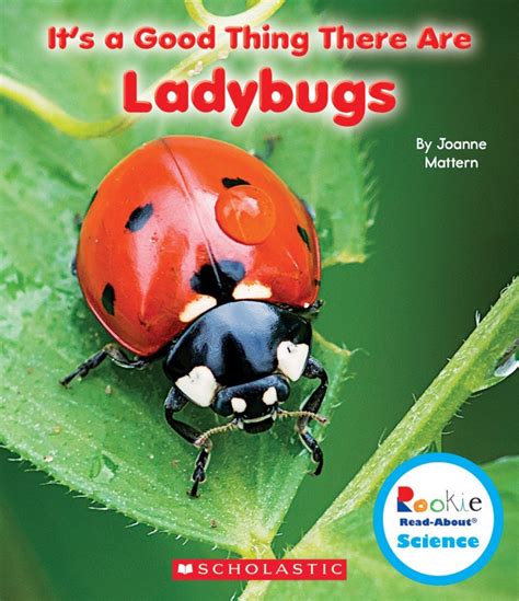 Ladybug book 2