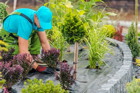 Landscaping Maintenance Tips