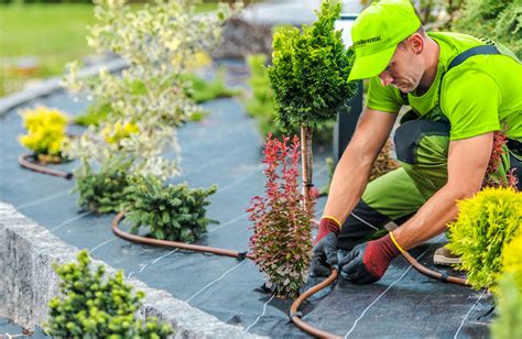 Landscaping Services