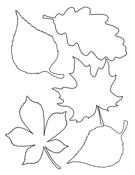 Large Leaf Templates for Home Decor