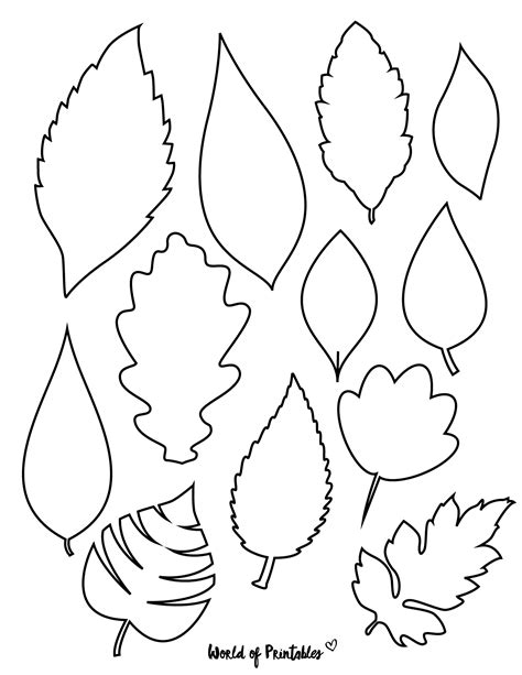 Large Leaf Templates for Mixed Media