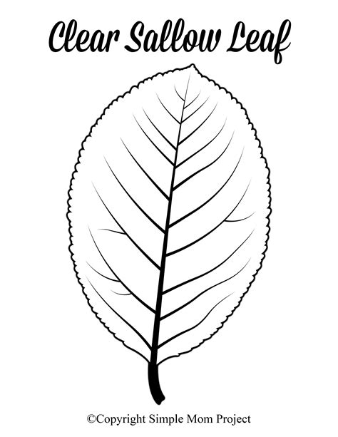 Large Leaf Templates for Therapeutic Purposes