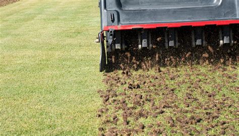 Lawn Aeration and Dethatching