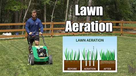 Lawn Aeration Techniques