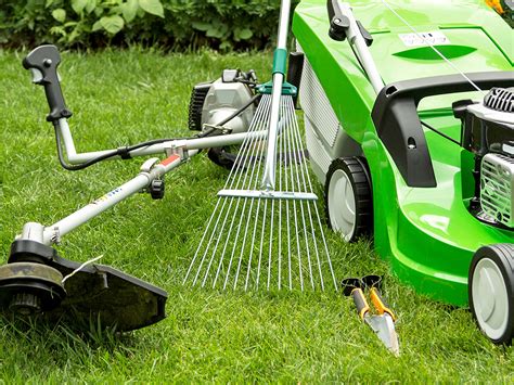 Lawn Care Articles