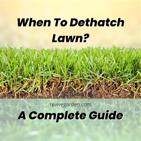 Lawn Dethatching Methods