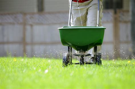 Lawn Fertilizing