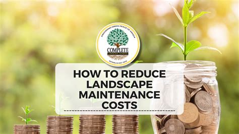 Lawn maintenance cost