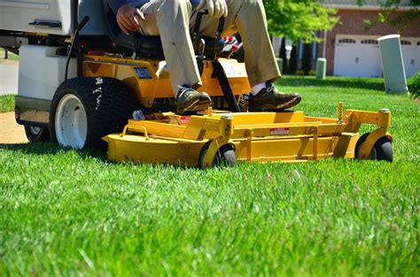 Lawn maintenance equipment