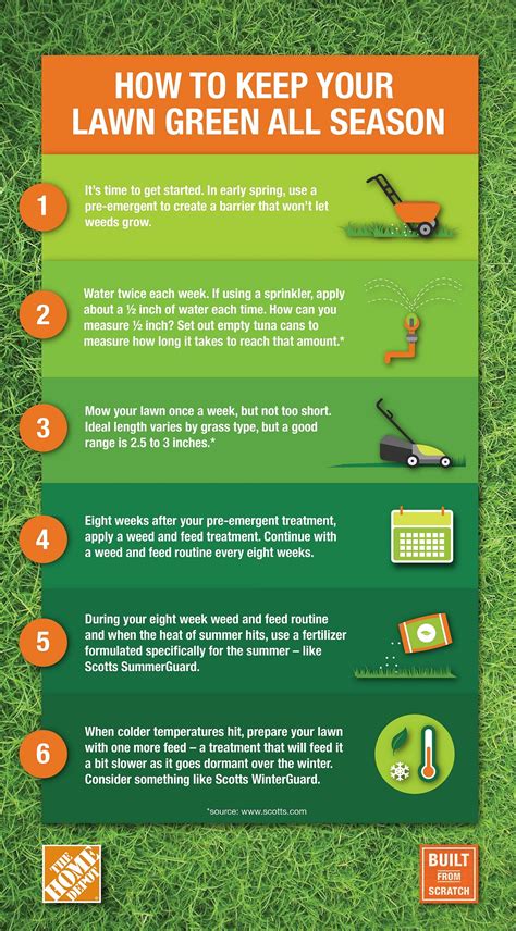 Lawn maintenance tips