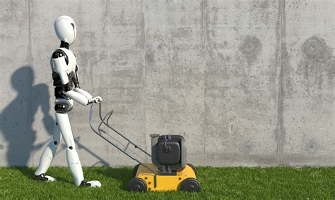 Future of Lawn Mowing Services