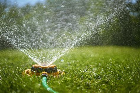 Lawn Watering Tips