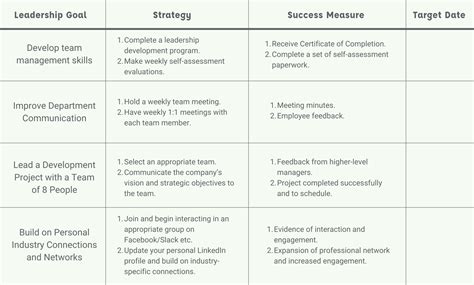 Leadership Plan Template Example