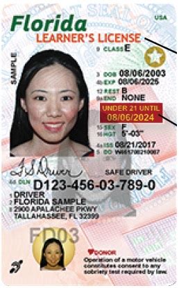 Learner Permit Florida