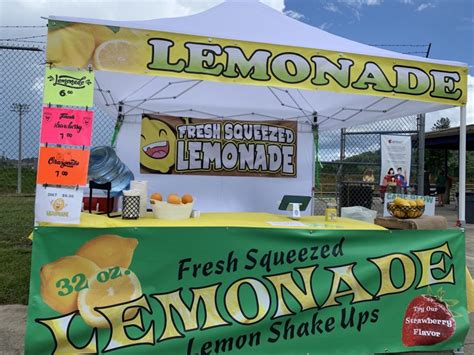 Lemonade Stand Business