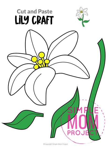 Lily Template Description