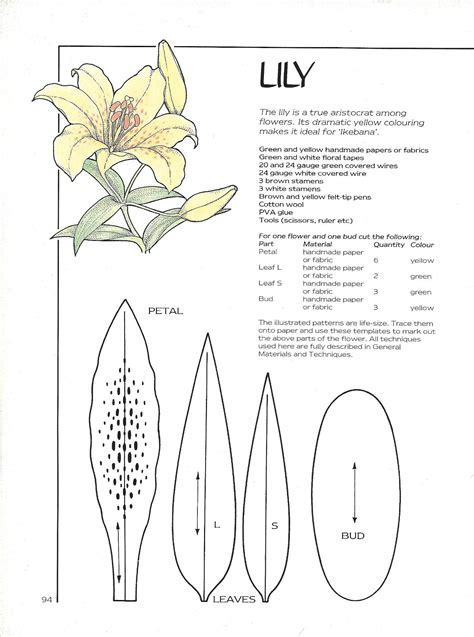 Lily flower template