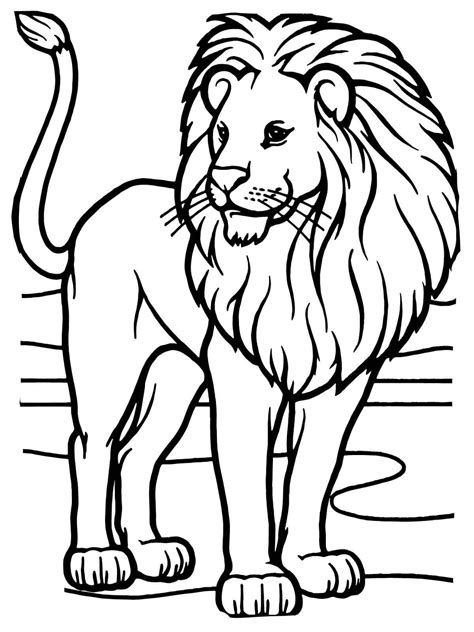 Lion coloring pages for kids