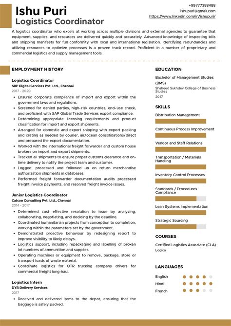 Logistics Resume Template 10