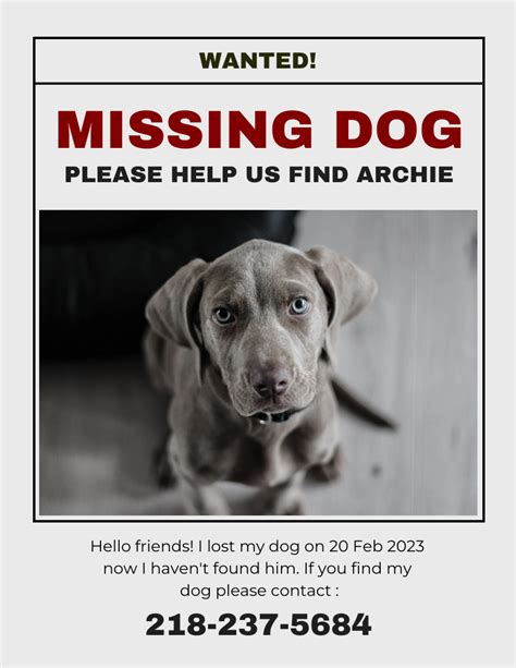 Lost Dog Template Example