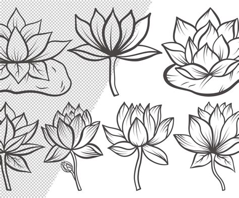 Lotus Flower Template 1