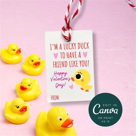 Lucky Duck Valentine Gift