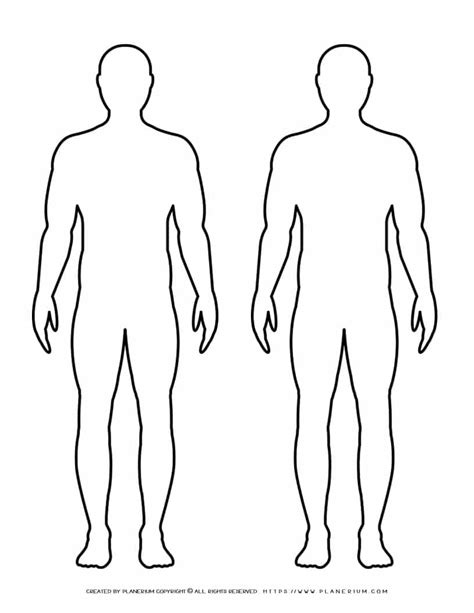 Male Body Template 1