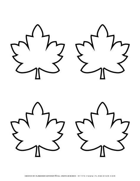 Maple Leaf Template 4