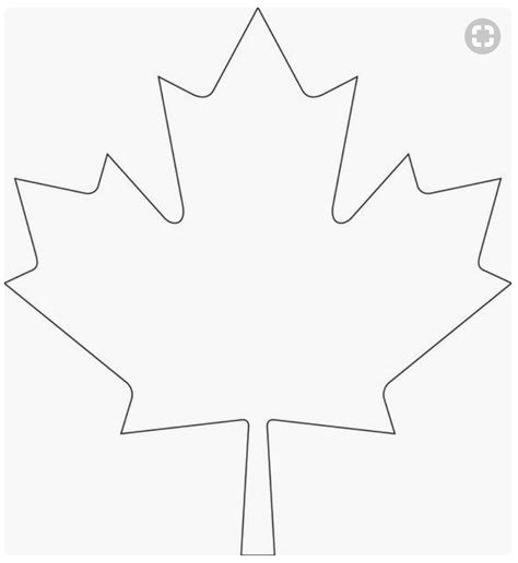 Maple Leaf Template 5