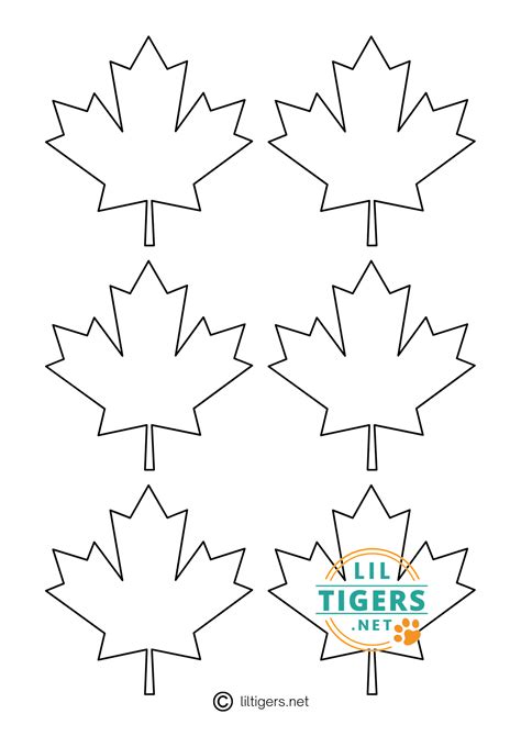 Maple Leaf Template 7