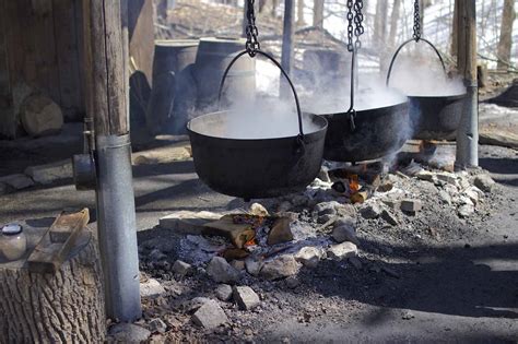 The Maple Syrup Industry Today