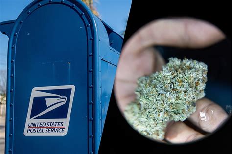 Marijuana Mailing Laws