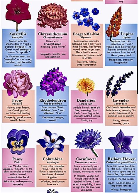 Meaning and symbolism of birth flowers and their tattoos