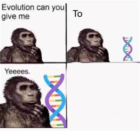 Meme Culture Evolution