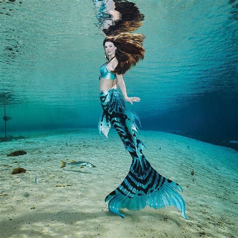 An underwater mermaid world