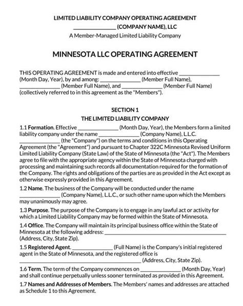 Minnesota LLC Template 2