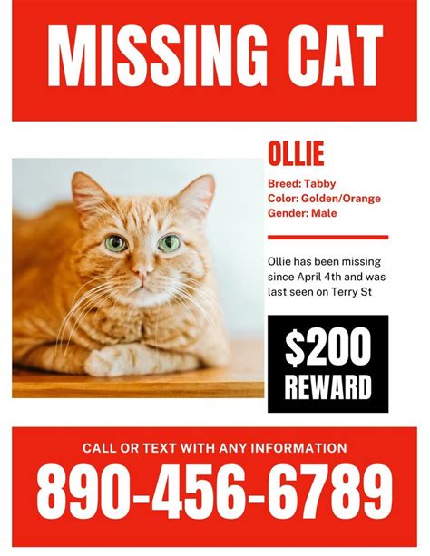 Missing Cat Poster Example