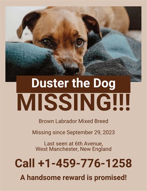 Missing Pet Flyer