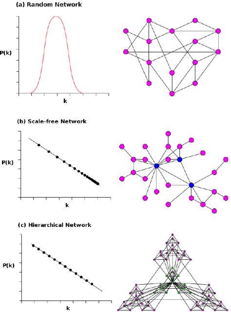 Modeling networking