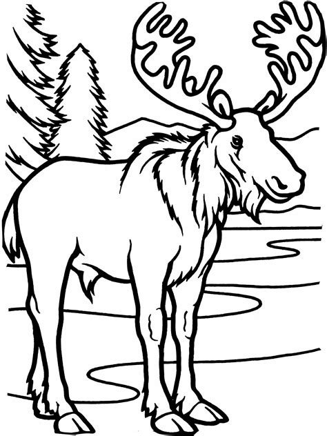 Moose coloring pages printable