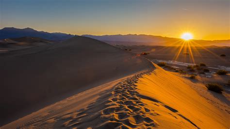 Morning Sun in the Desert