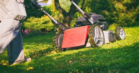 Mowing and Watering