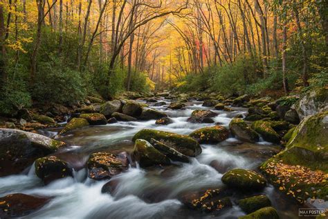 Description of Nature Photography