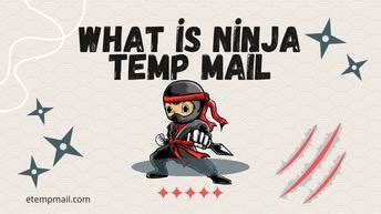 Ninja Temp Mail Gallery 2