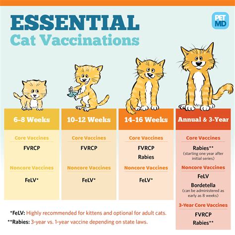 Non-Core Vaccines for Cats