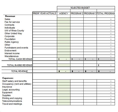 Non Profit Budget Template Sample